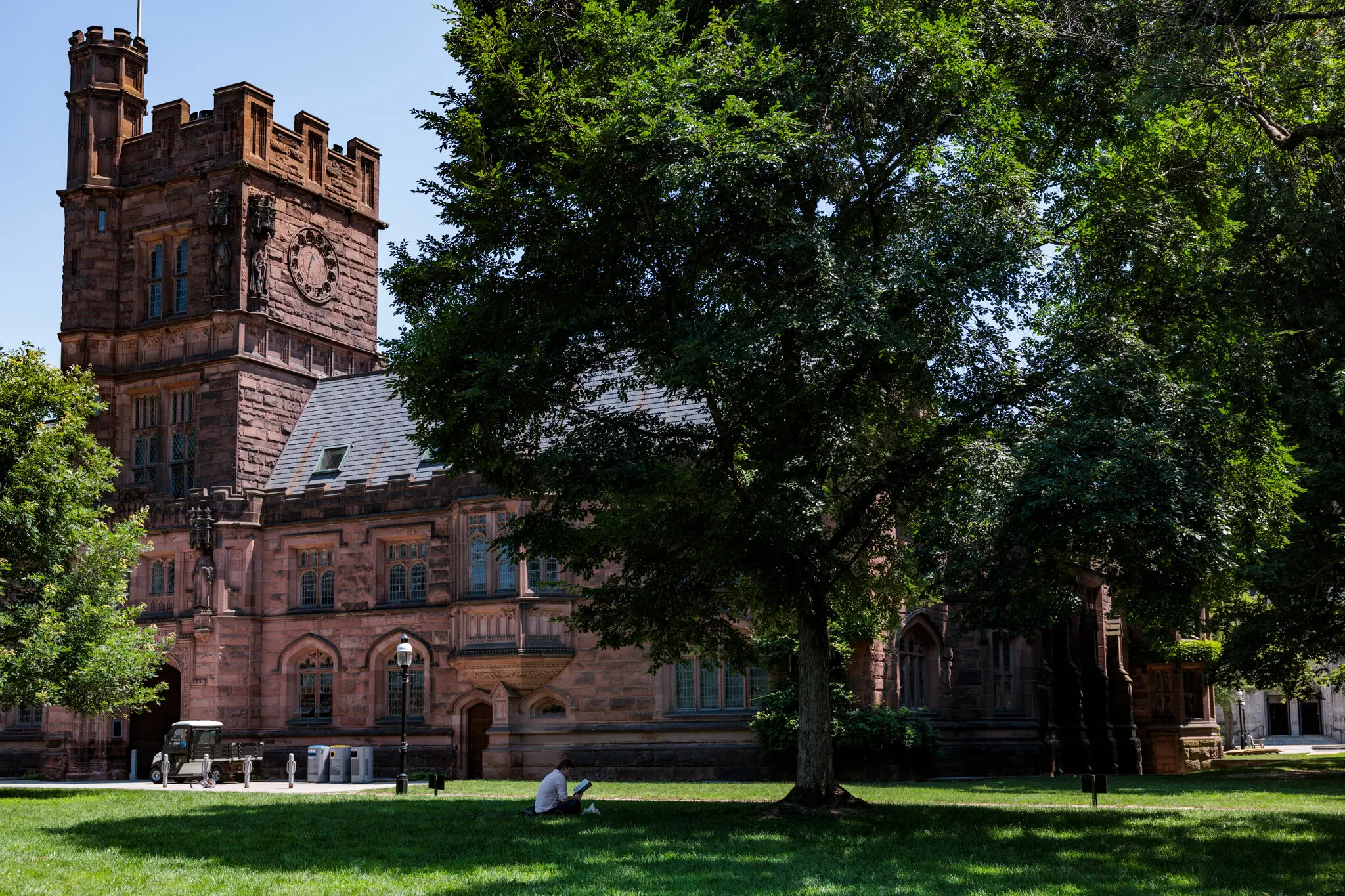 Рейтинги U.S. News-2025: стабільність попри кризу та політичний тиск